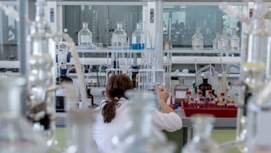 Mold Testing in Los Angeles