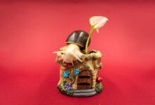 Giant African Land Snails for Sale