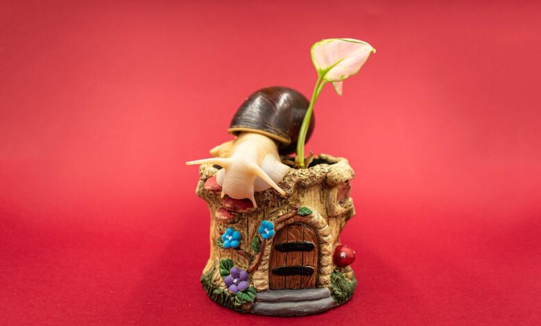 Giant African Land Snails for Sale