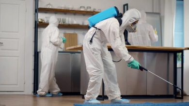 biological control of pests