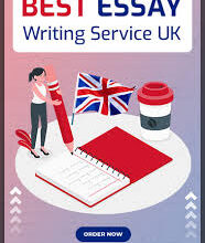 essay writing services