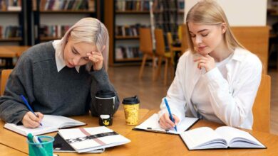 assignment help