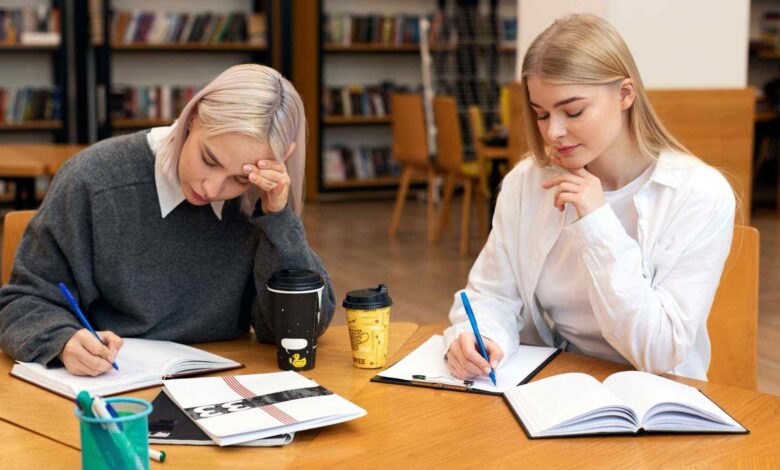 assignment help