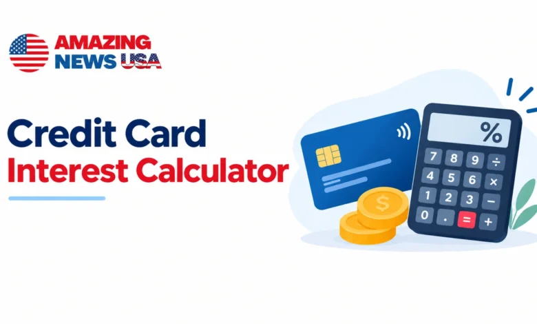 perfect Credit Card Interest Calculator by amazingnewsusa.com